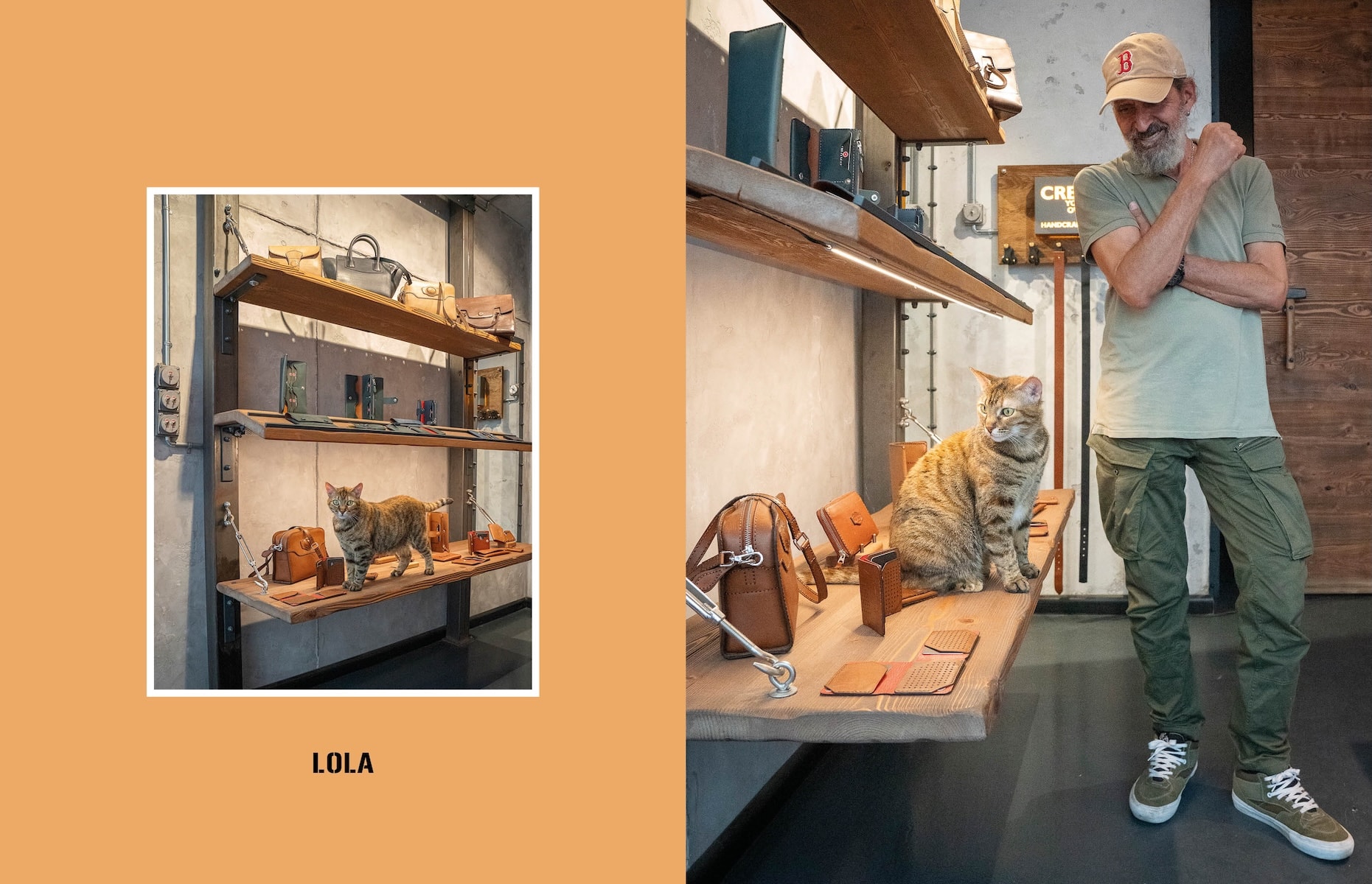 City Cats of Istanbul by Marcel Heijnen