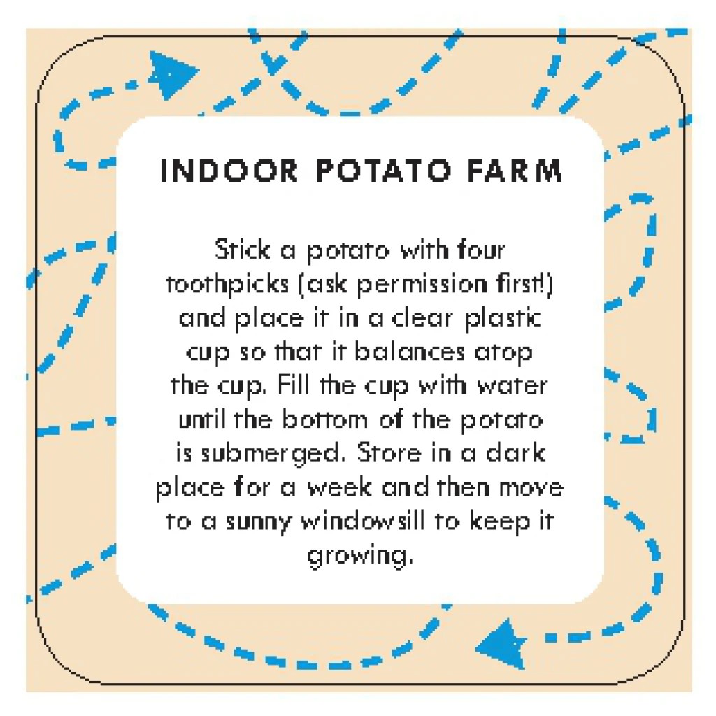 After Dinner Amusements: Games to Play Indoors