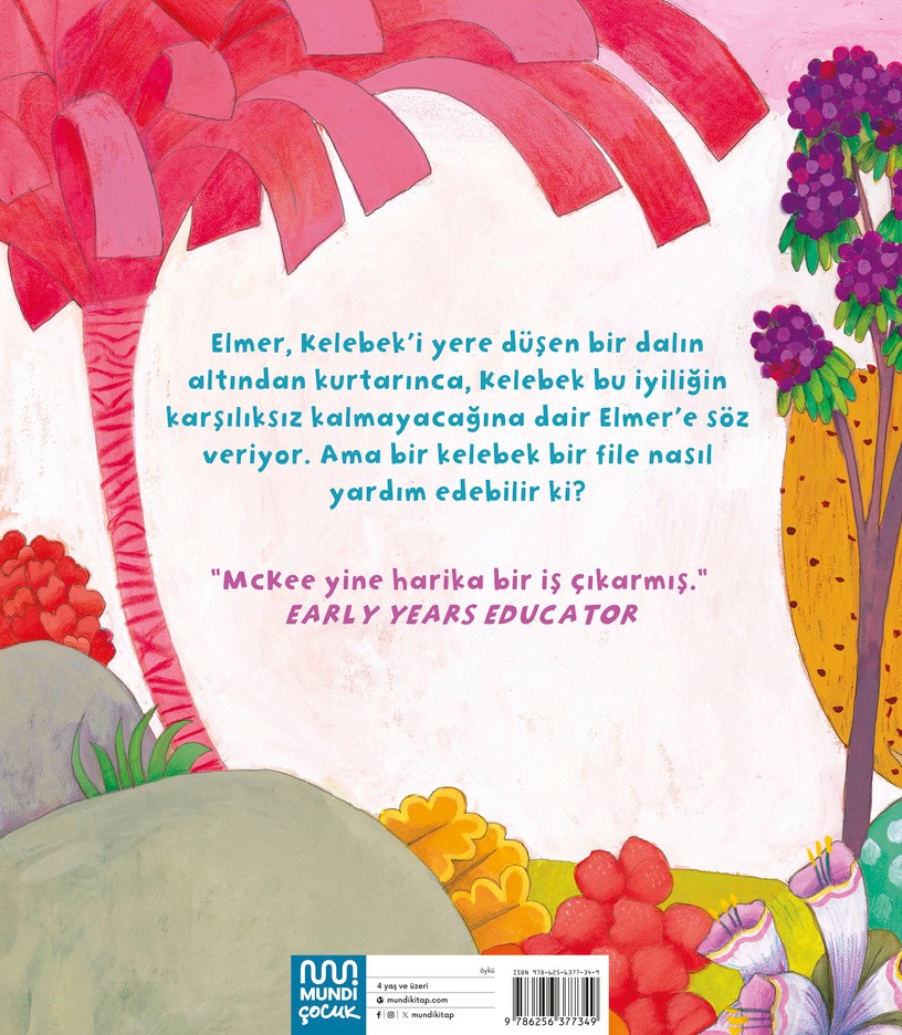 Elmer ve Kelebek by David McKee