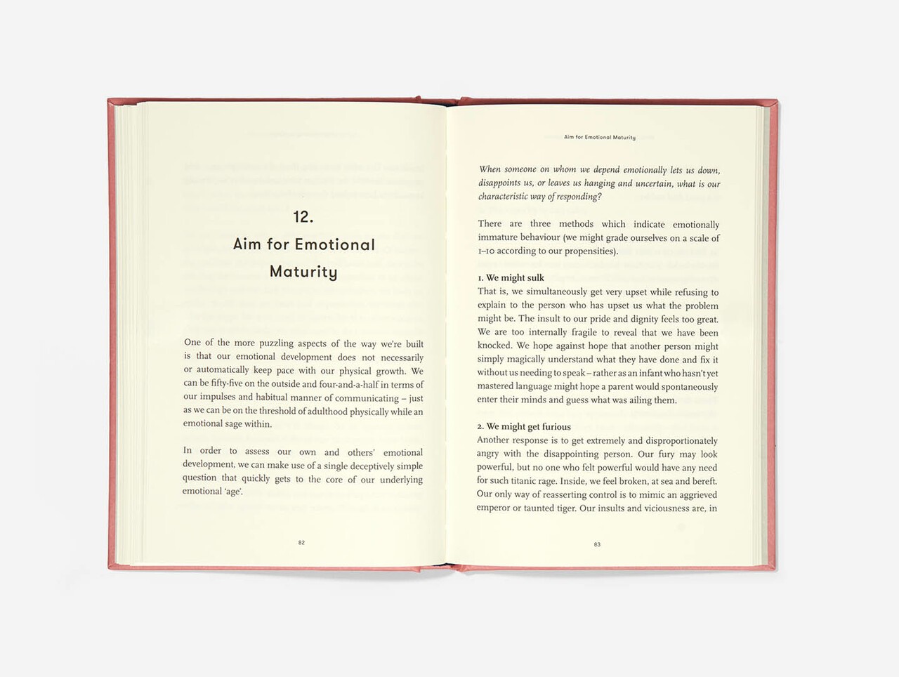 What They Forgot To Teach You At School by Alain de Botton