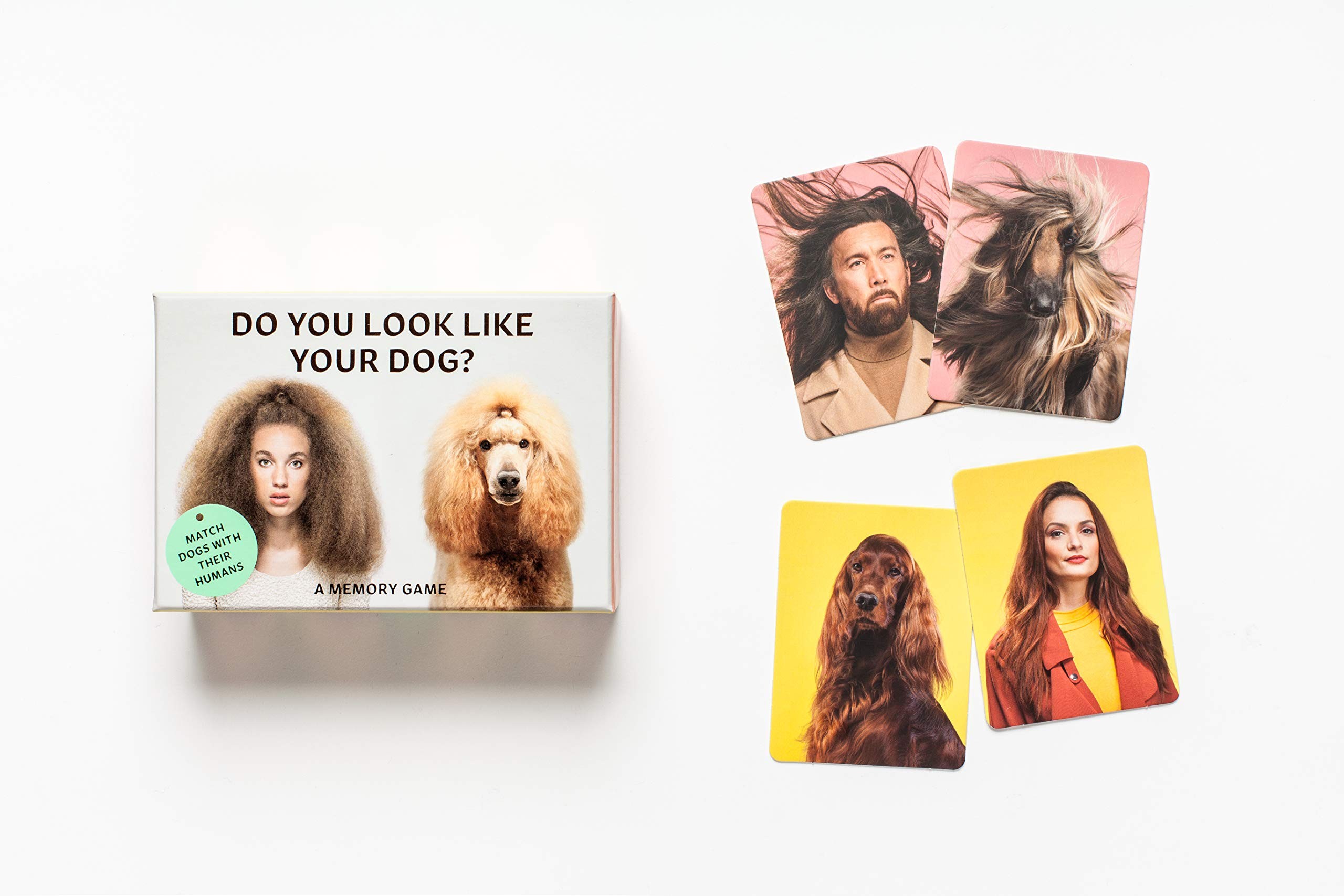Do You Look Like Your Dog? by Gerrard Gethings & Mark Edmonds