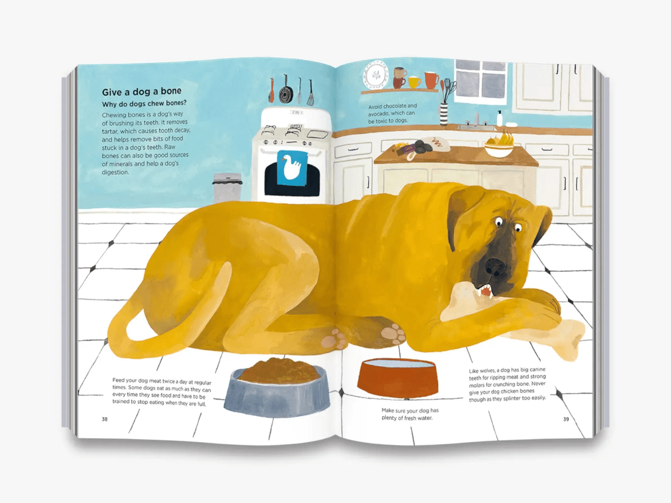 Why do dogs sniff bottoms? by Lily Snowden-Fine, Dr Nick Crumpton