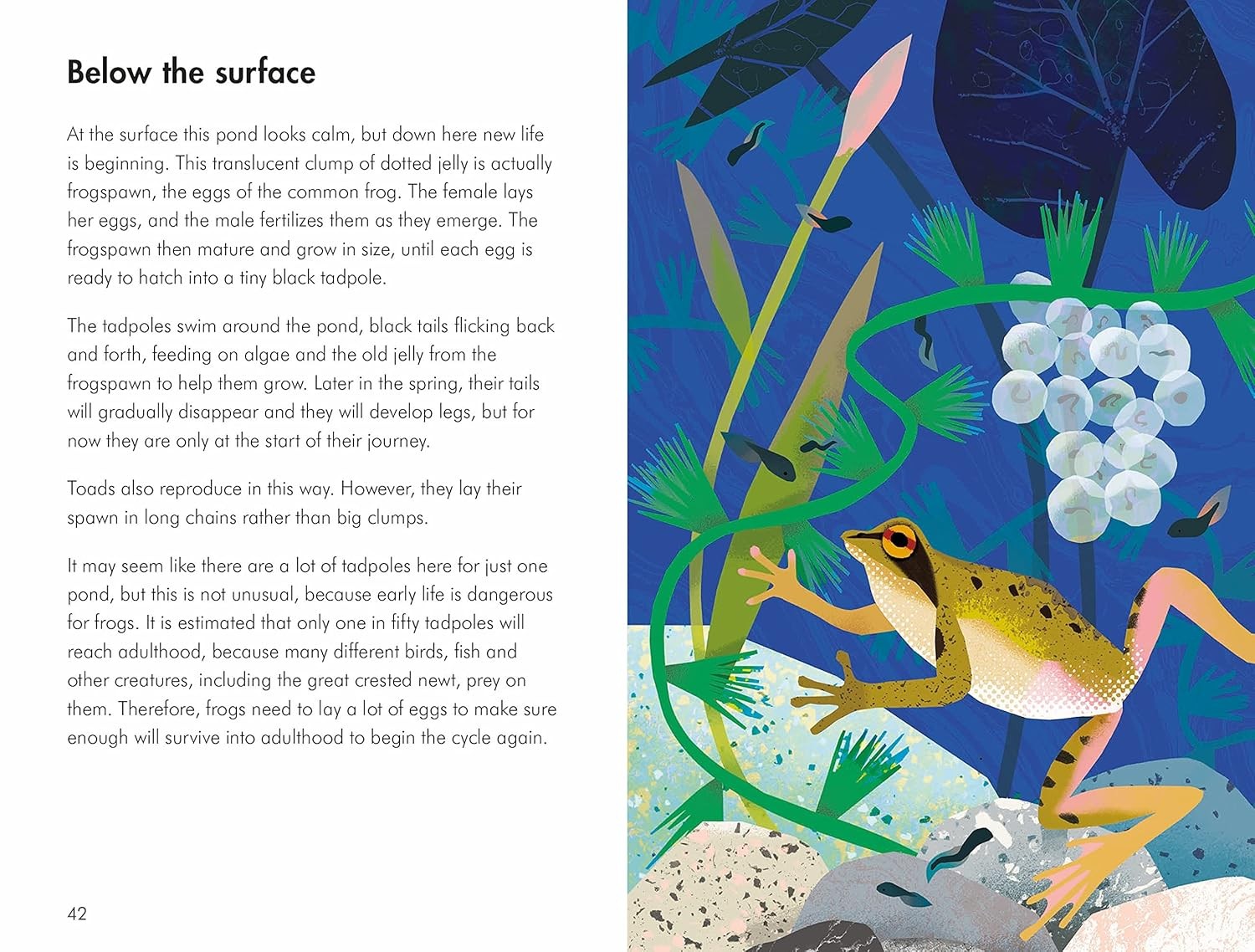 What to Look For in Winter by Elizabeth Jenner