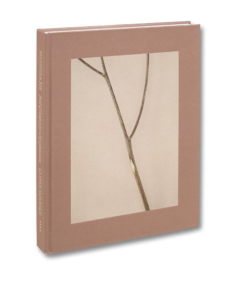 Belongs to Joe: Book of Comfort for a Nymphomaniac by Casper Sejersen