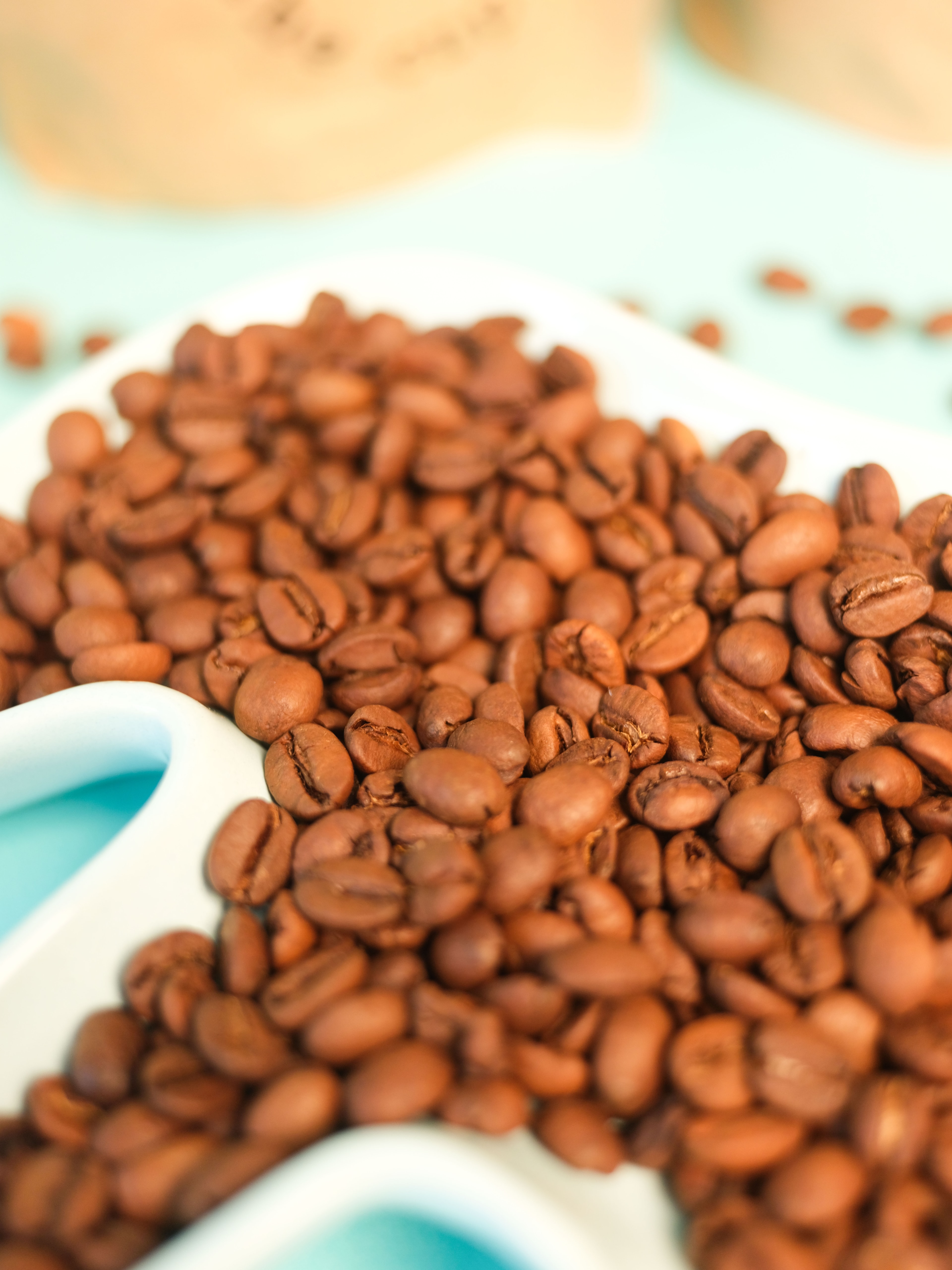 ESTATE: FiL in the Cup 250 gr.