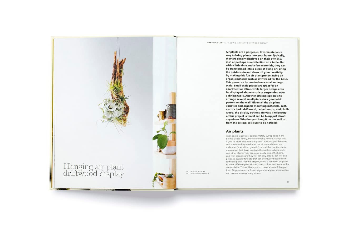 How to Plant a Room: and Grow a Happy Home by Morgan Doane & Erin Harding