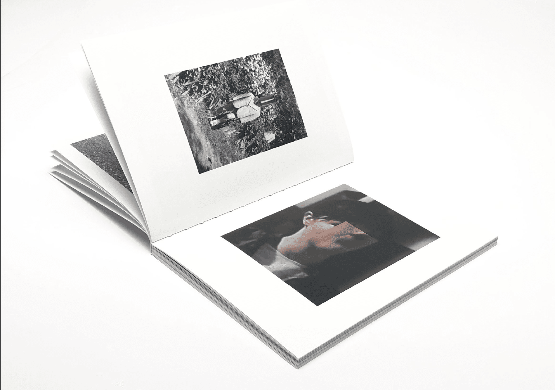 The Halcyon Days [A Dialogue Between] by Isabella Nitto & Luca Baioni