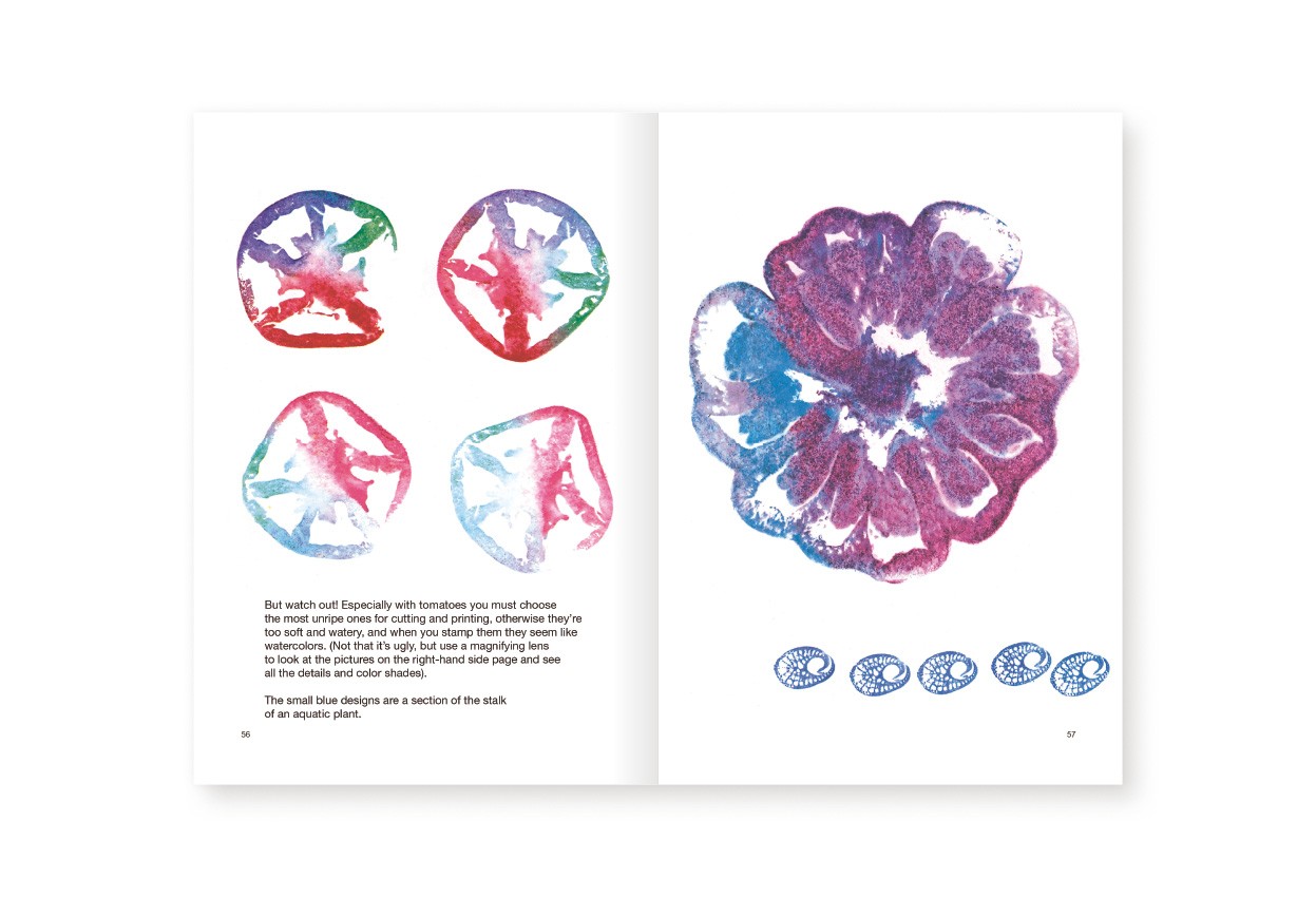 Roses in the Salad by Bruno Munari