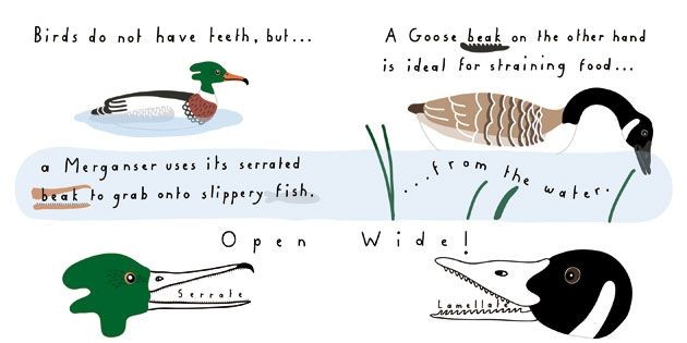 Bird Beak Book by Oscar Bolton Green