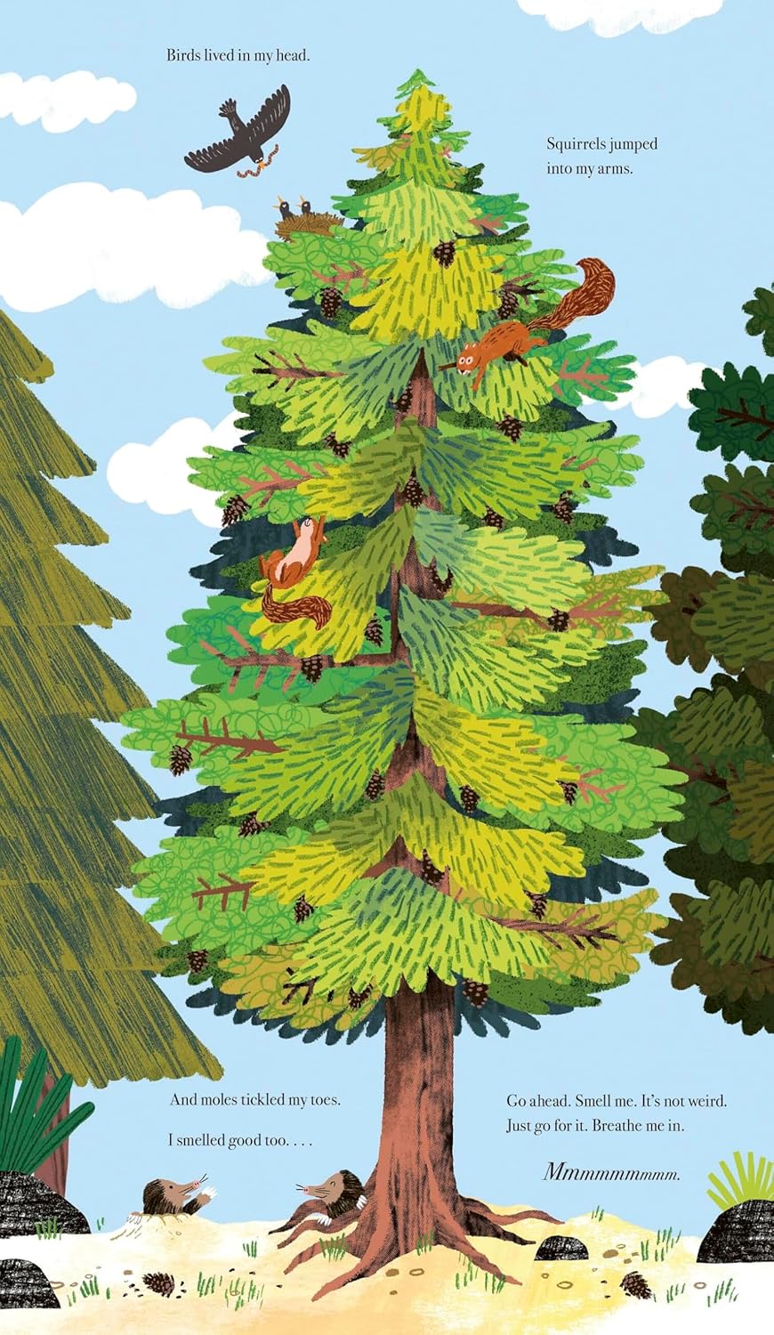 Once I Was a Tree By Eoin McLaughlin & Guilherme Karsten