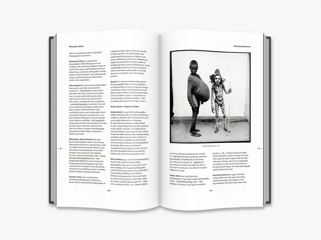 The Thames & Hudson Dictionary of Photography Hardcover by Nathalie Herschdorfer