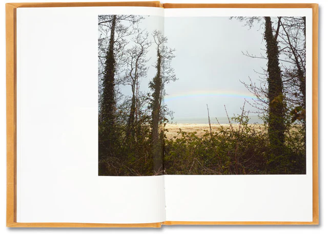 Does Yellow Run Forever? by  Paul Graham