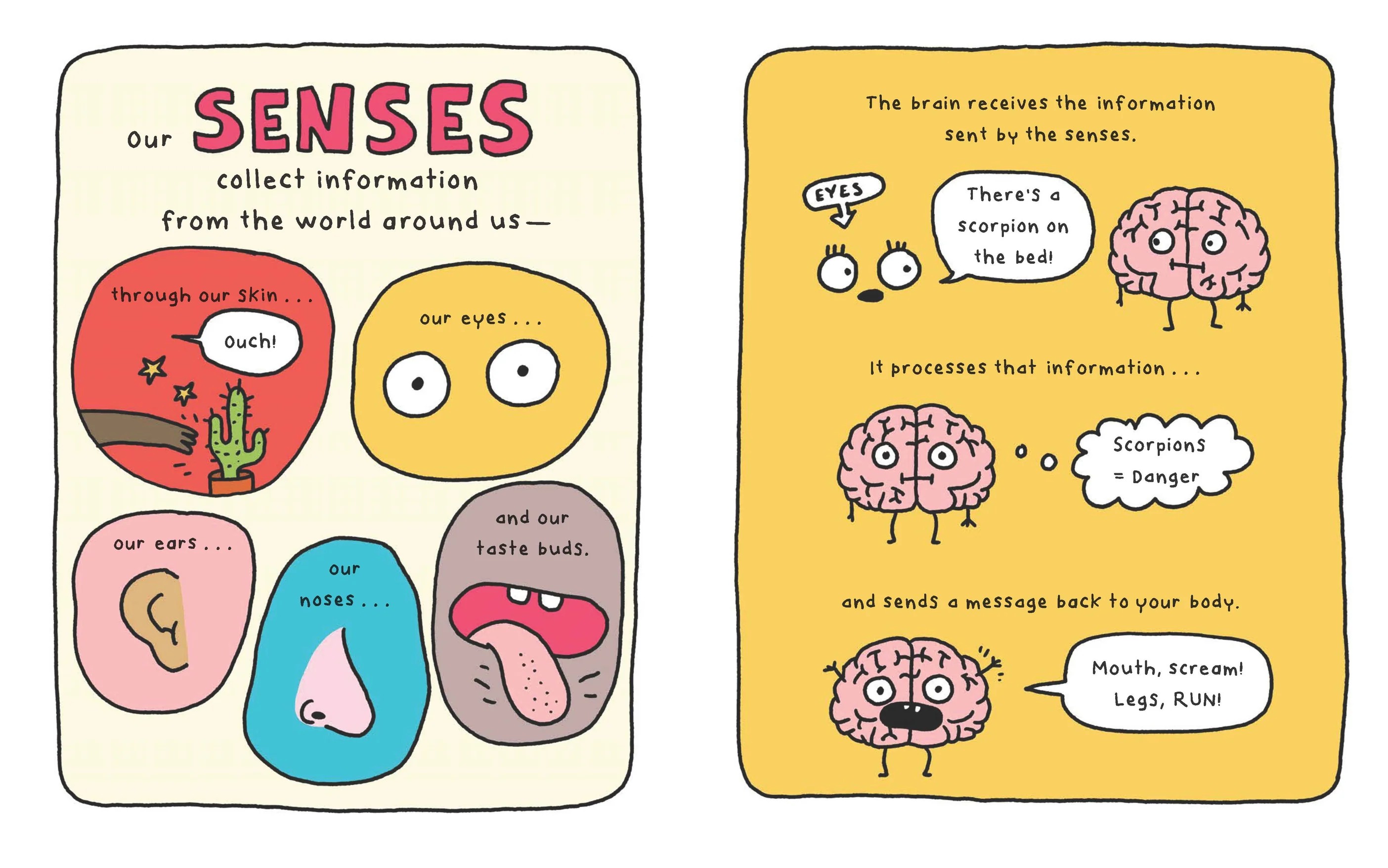 This Is My Brain! by Elise Gravel