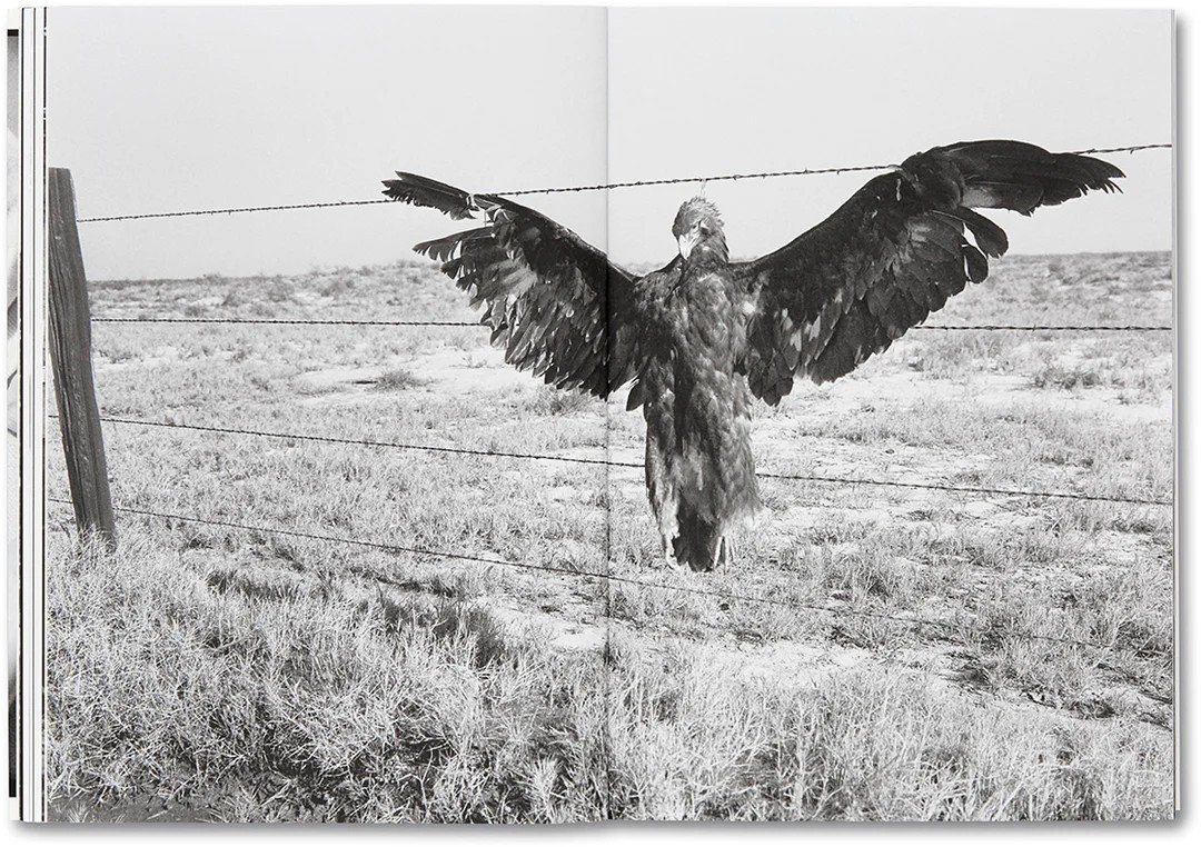 Day Sleeper by Dorothea Lange & Sam Contis