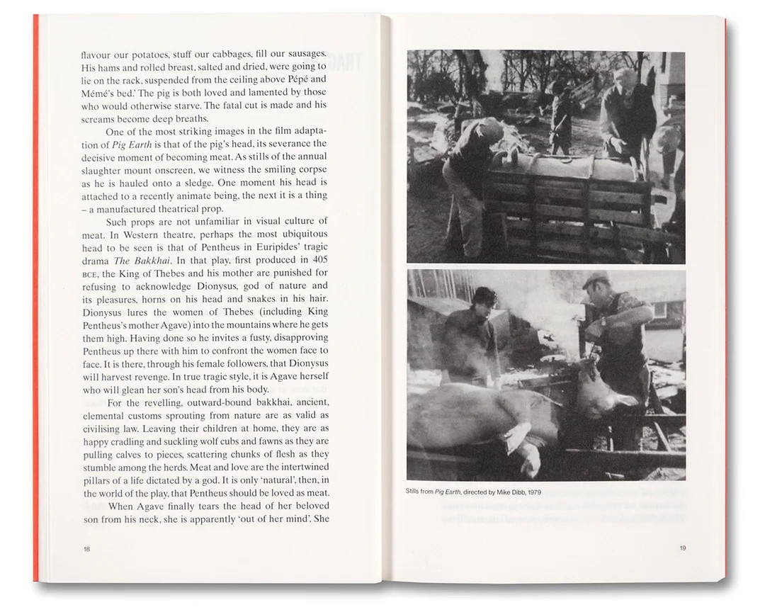 Meat Love: An Ideology of the Flesh by Amber Husain