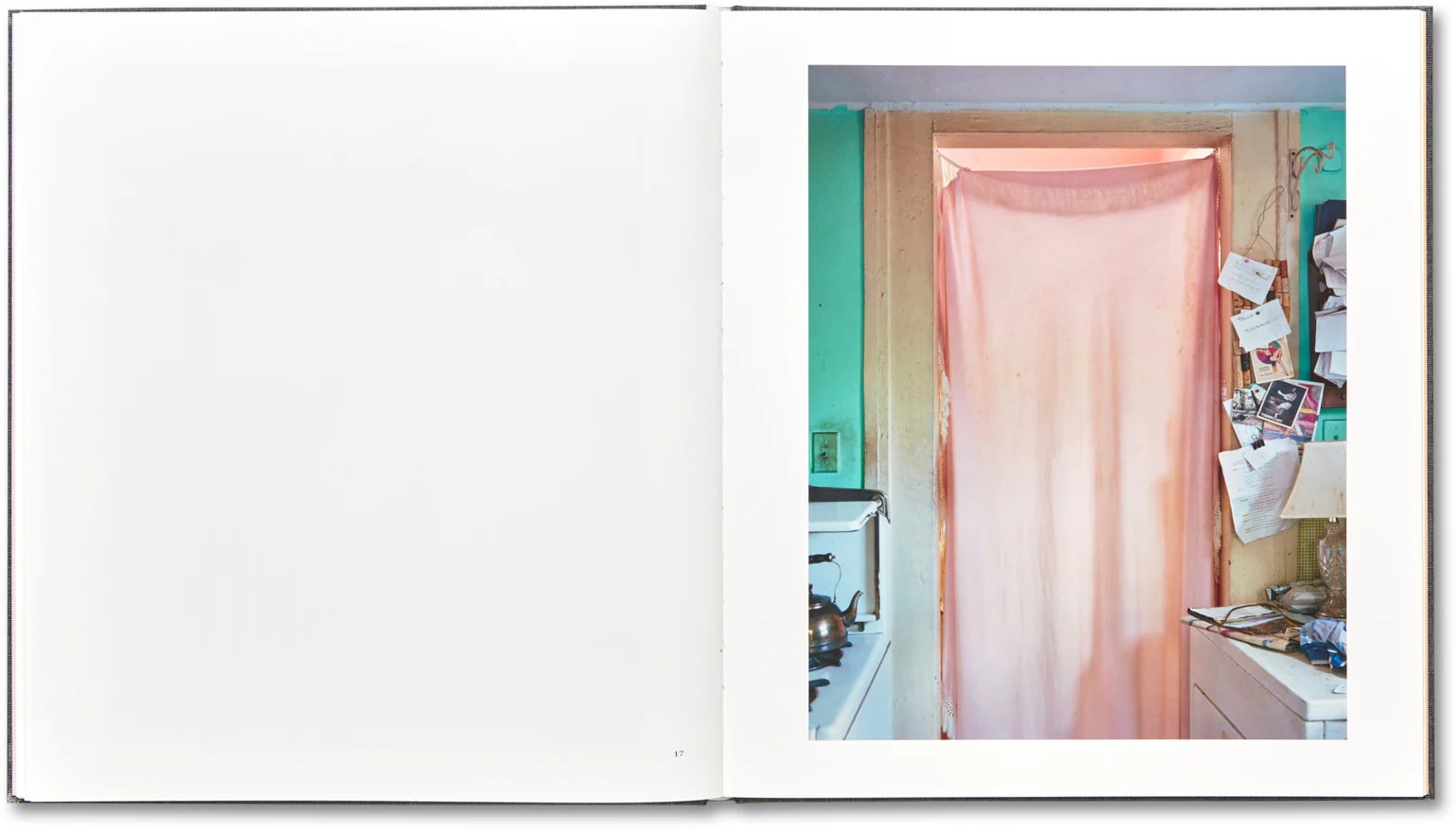 I Know How Furiously Your Heart Is Beating by Alec Soth