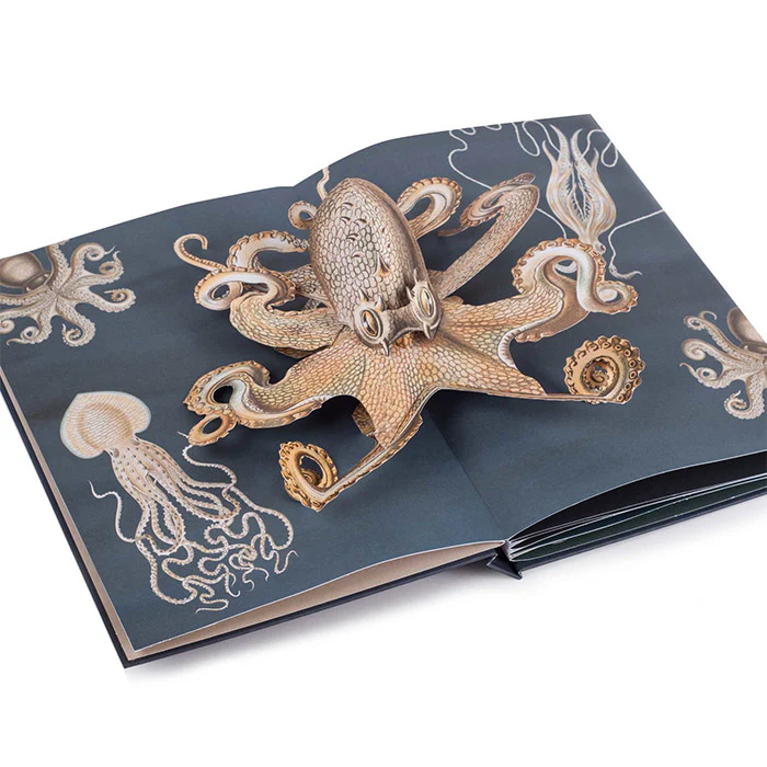 Creatures of the Deep: The Pop-up Book by Ernst Haeckel
