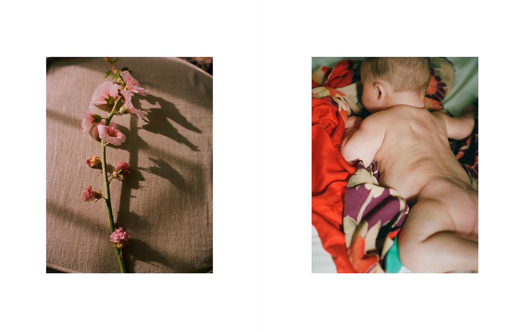 A Study on Folds by Carlotta Manaigo