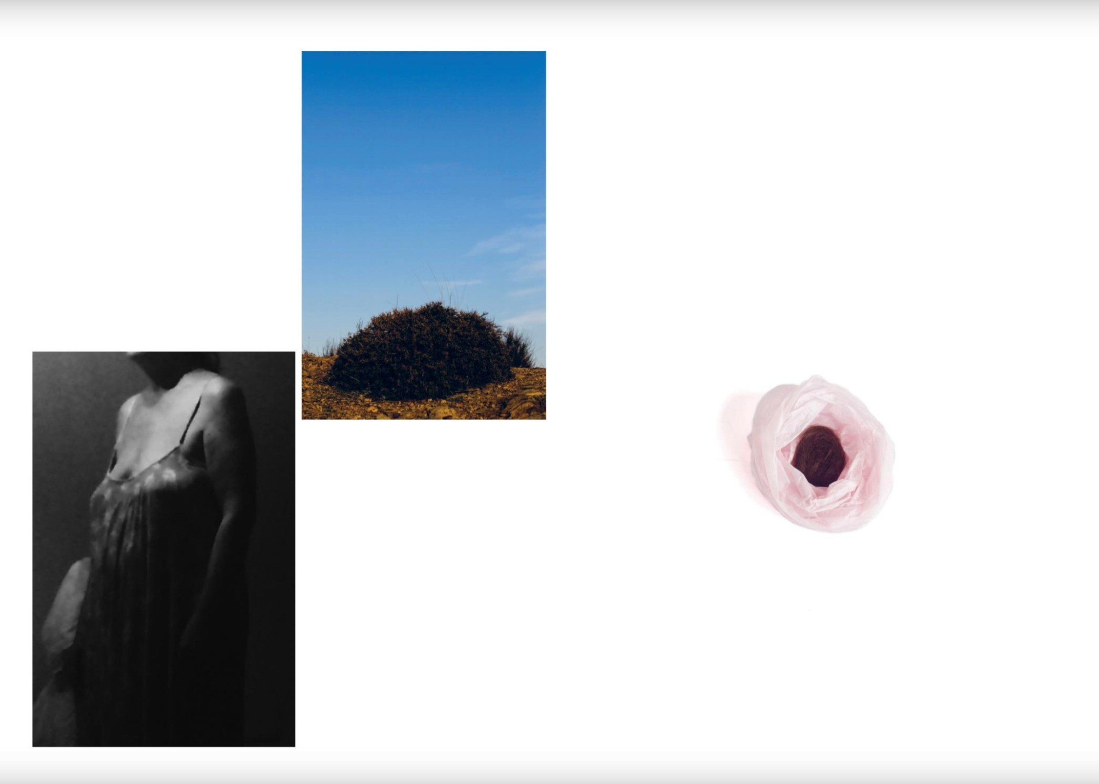 Der Greif: In Between Photographs