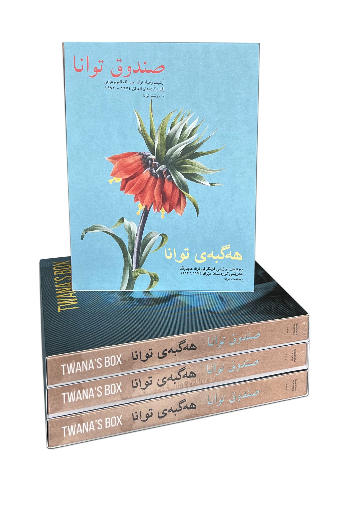 Twana's Box by Lukas Birk