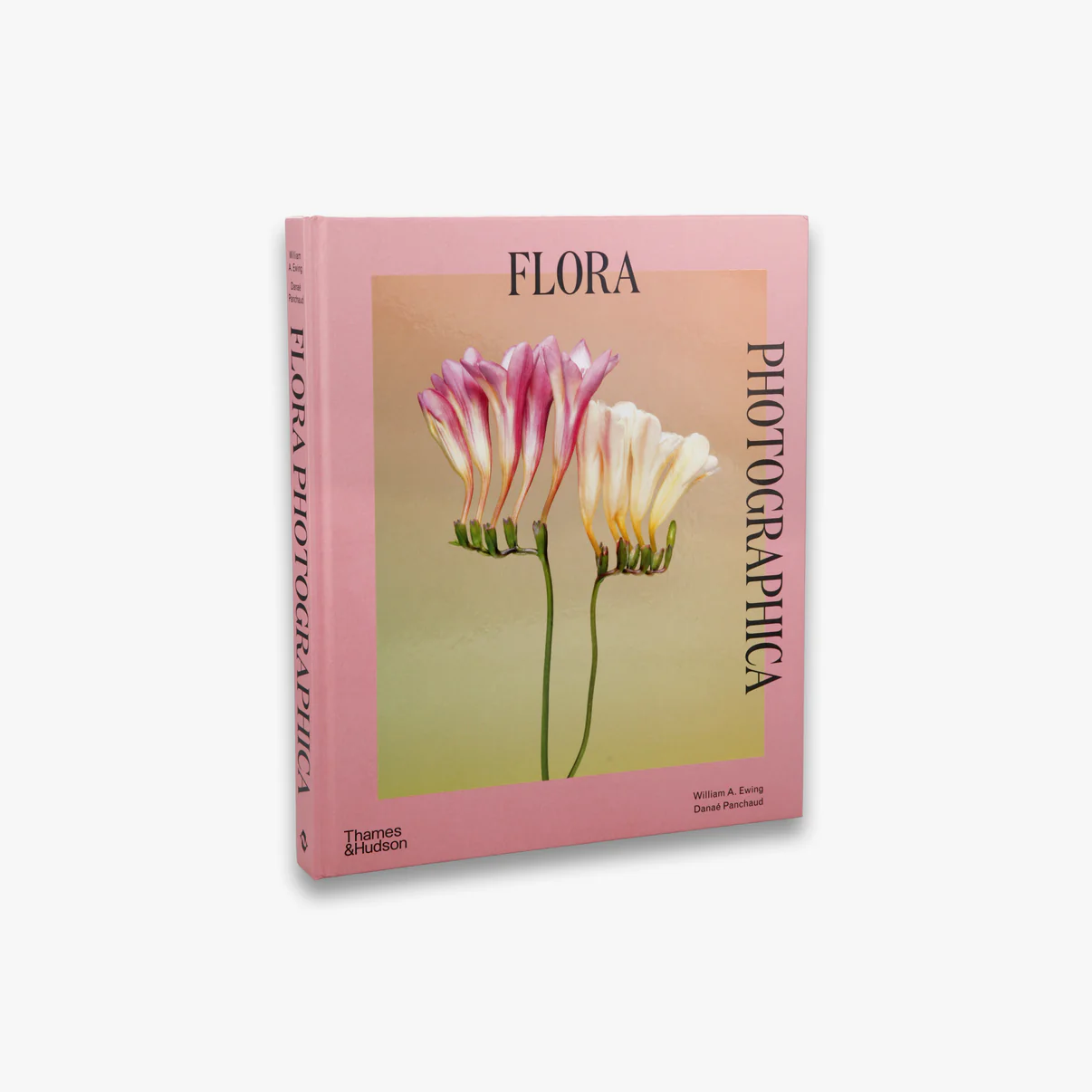 Flora Photographica: The Flower in Contemporary Photography by William A Ewing and Danaé Panchaud
