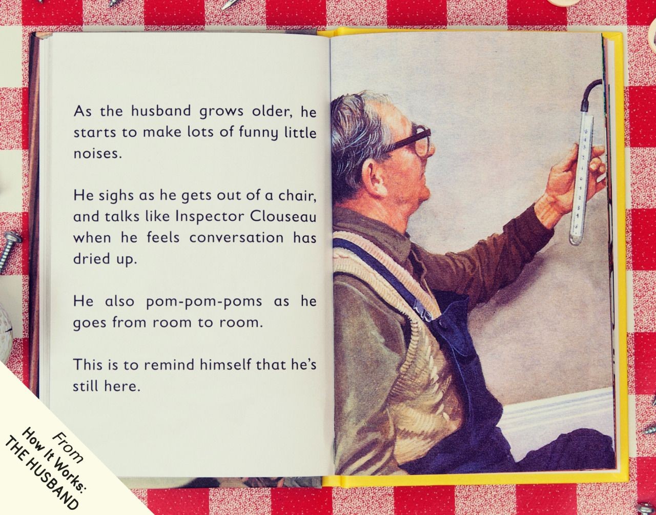 How it Works: The Husband (Ladybird Books for Grown-Ups)
