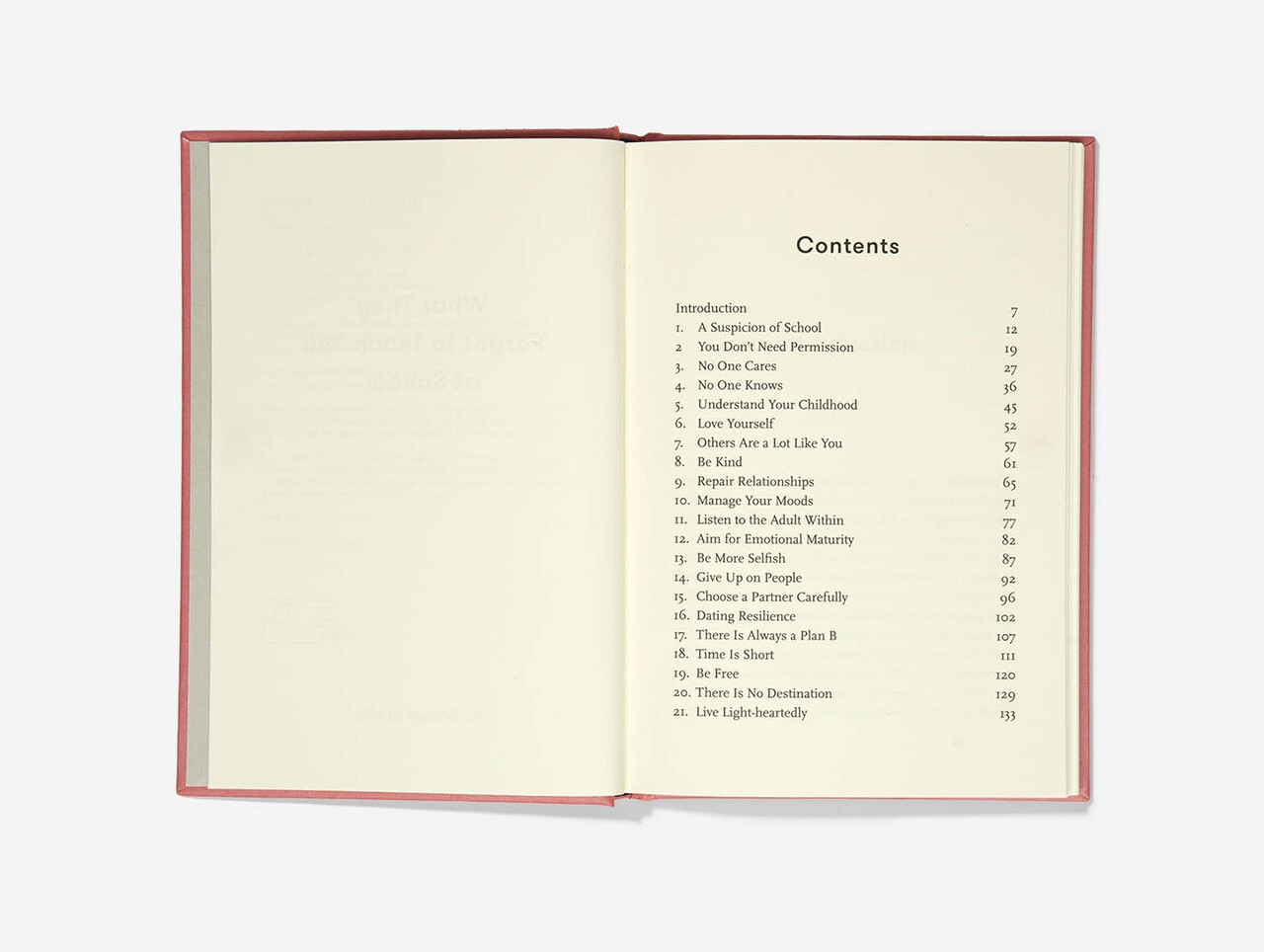 What They Forgot To Teach You At School by Alain de Botton