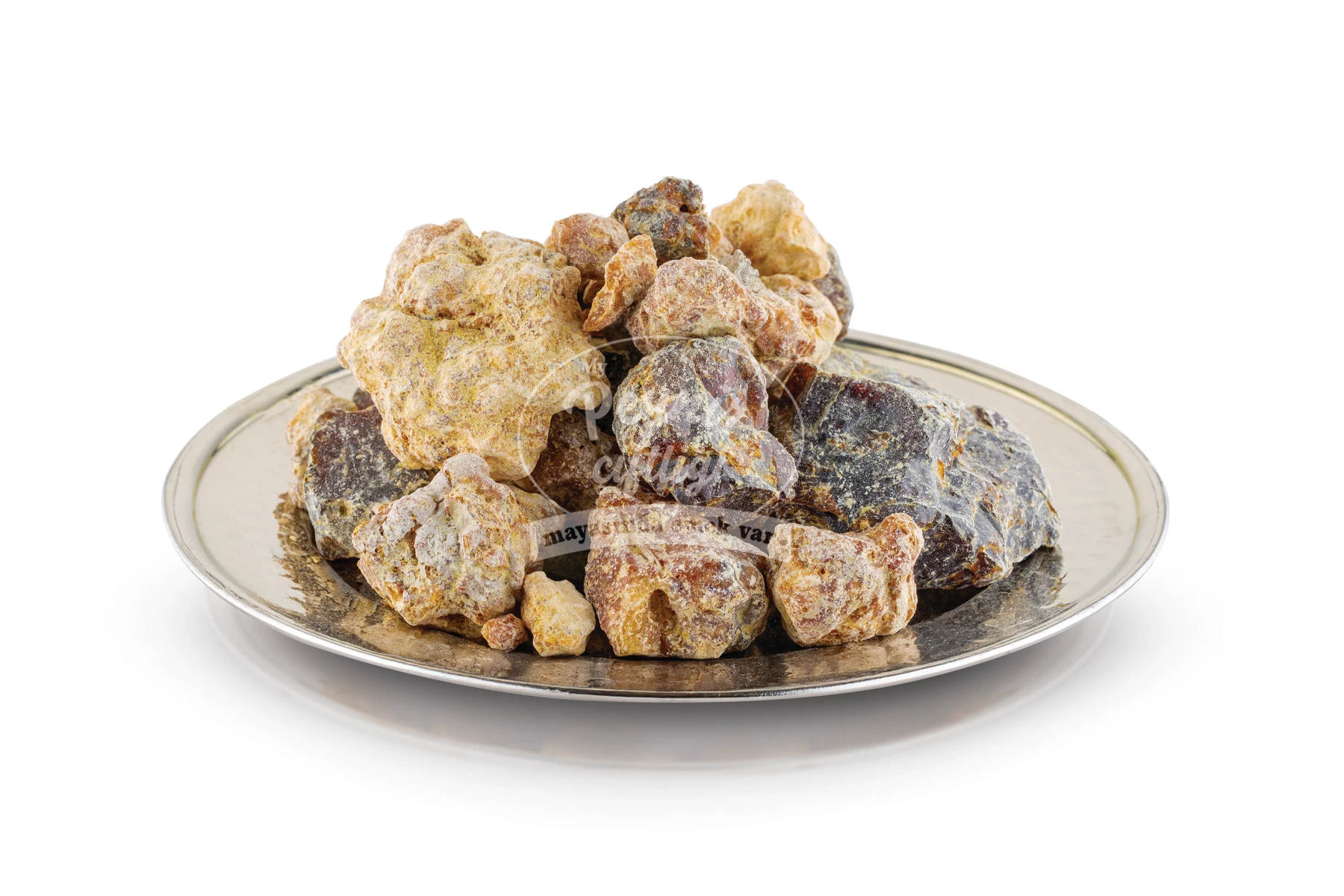 Çam Sakızı (100gr)