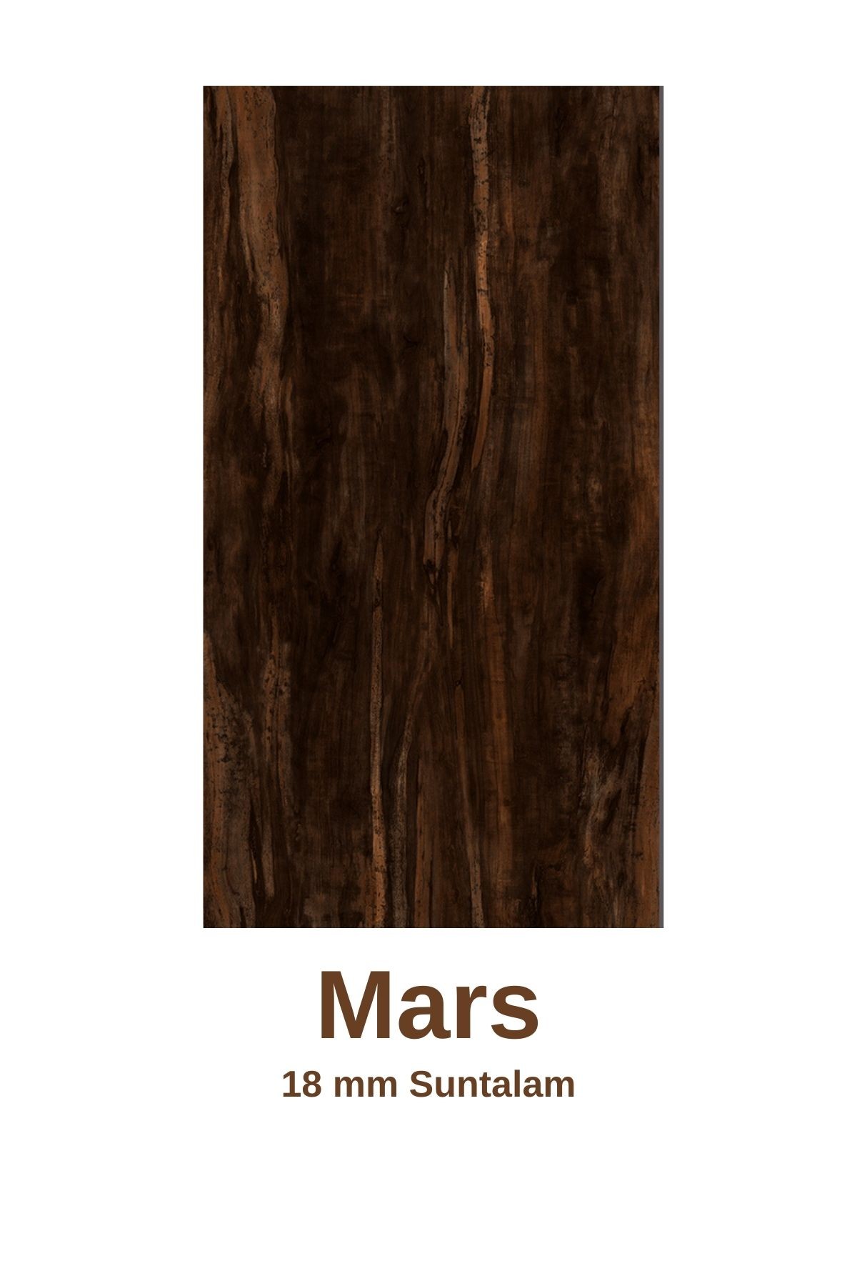 Milano 3 Kapaklı Kayar Raflı Dolaplı Ayakkabılık Mars