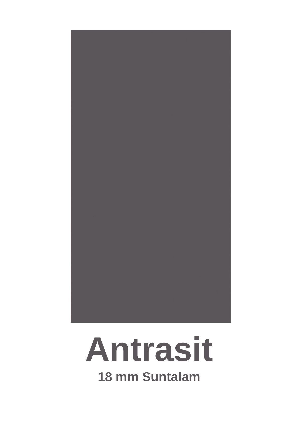Anatolia 2 Kapak Kayar Raflı Ayakkabılık Antrasit