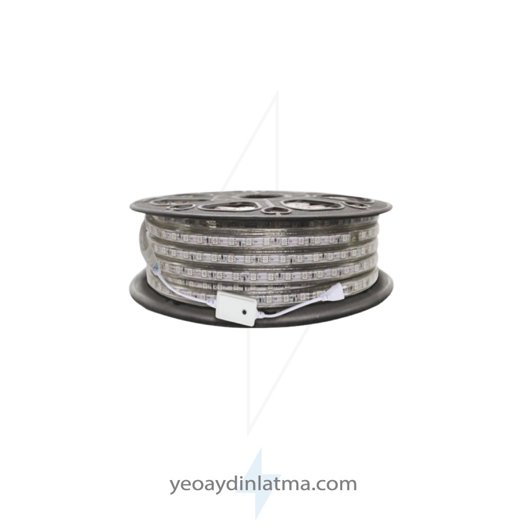 CT-4548 Dis Mekan Hortum Led RGB 220V