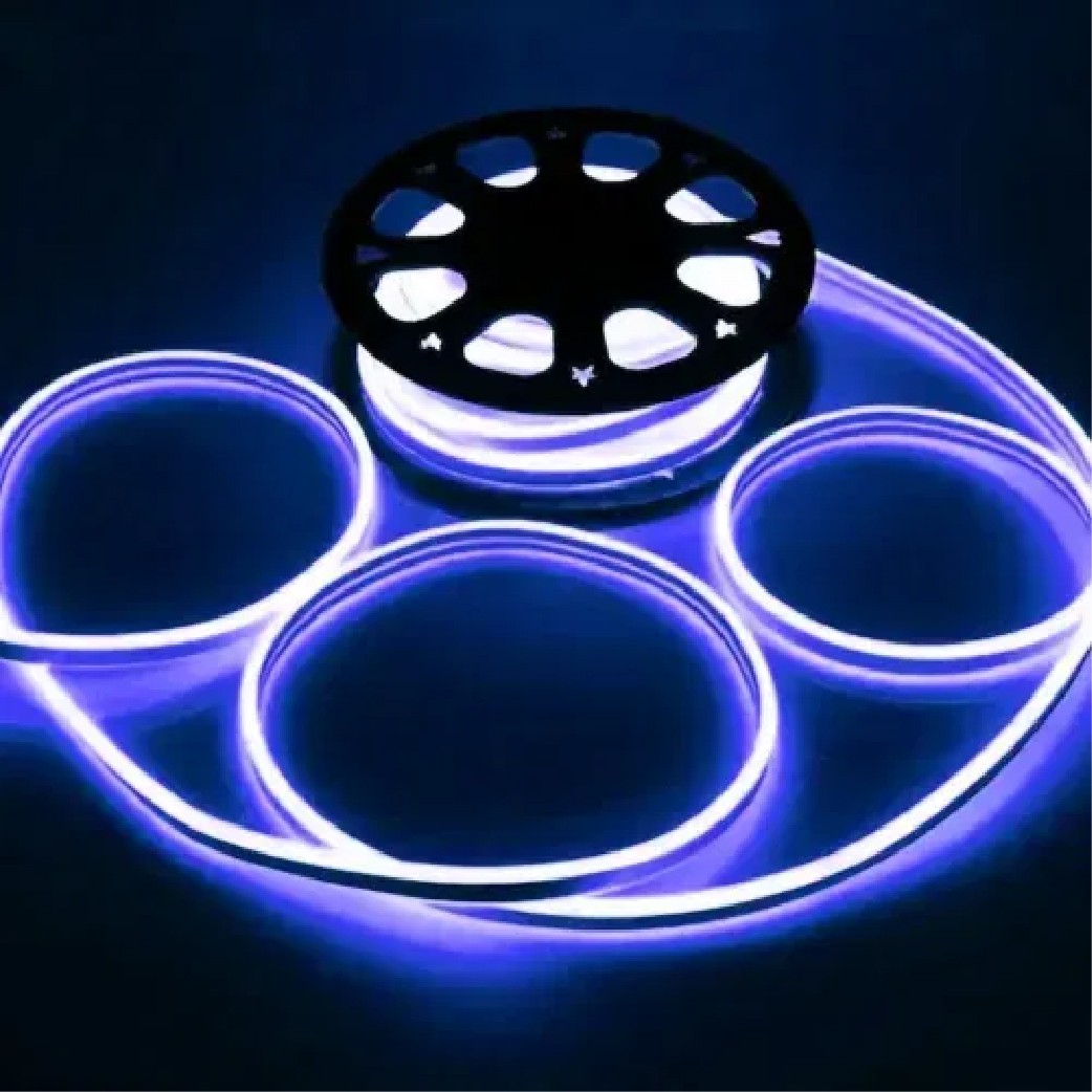 Cata 220 Volt Dış Mekan Hortum Led CT-4554 Mavi Renk