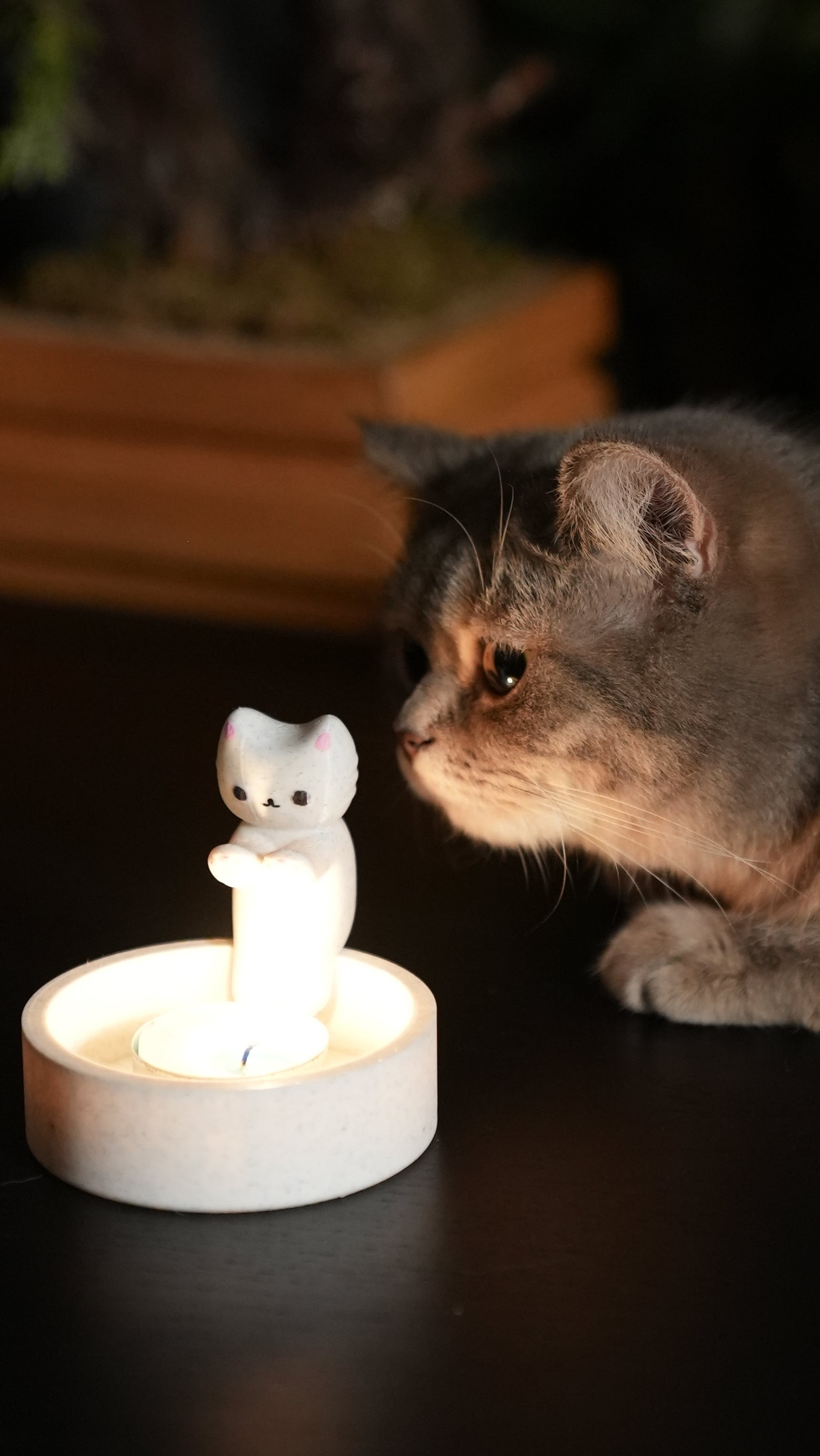 Üşüyen Kedi Mumluk