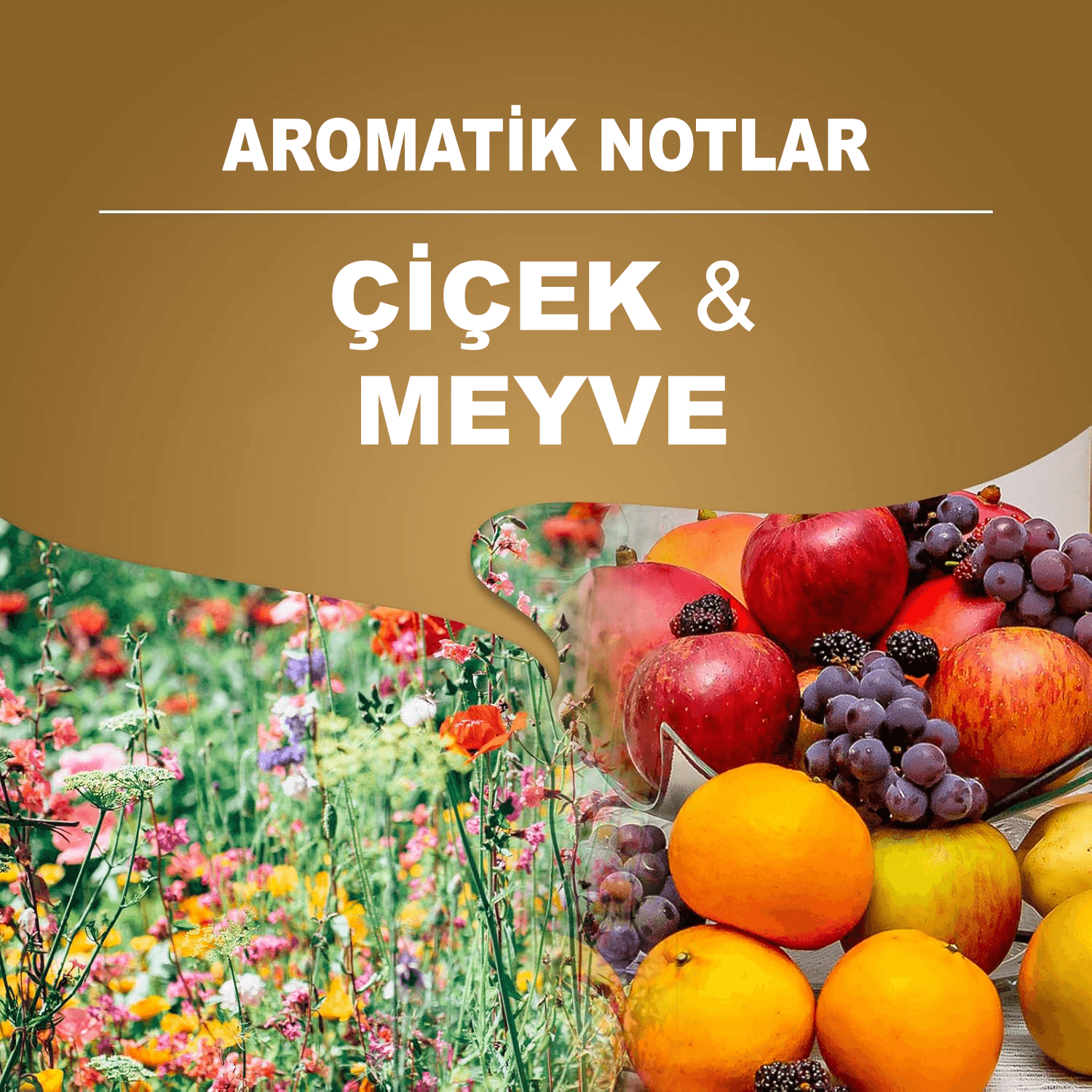 Qualità Rossa Filtre Kahve Teneke Kutu (250gr)