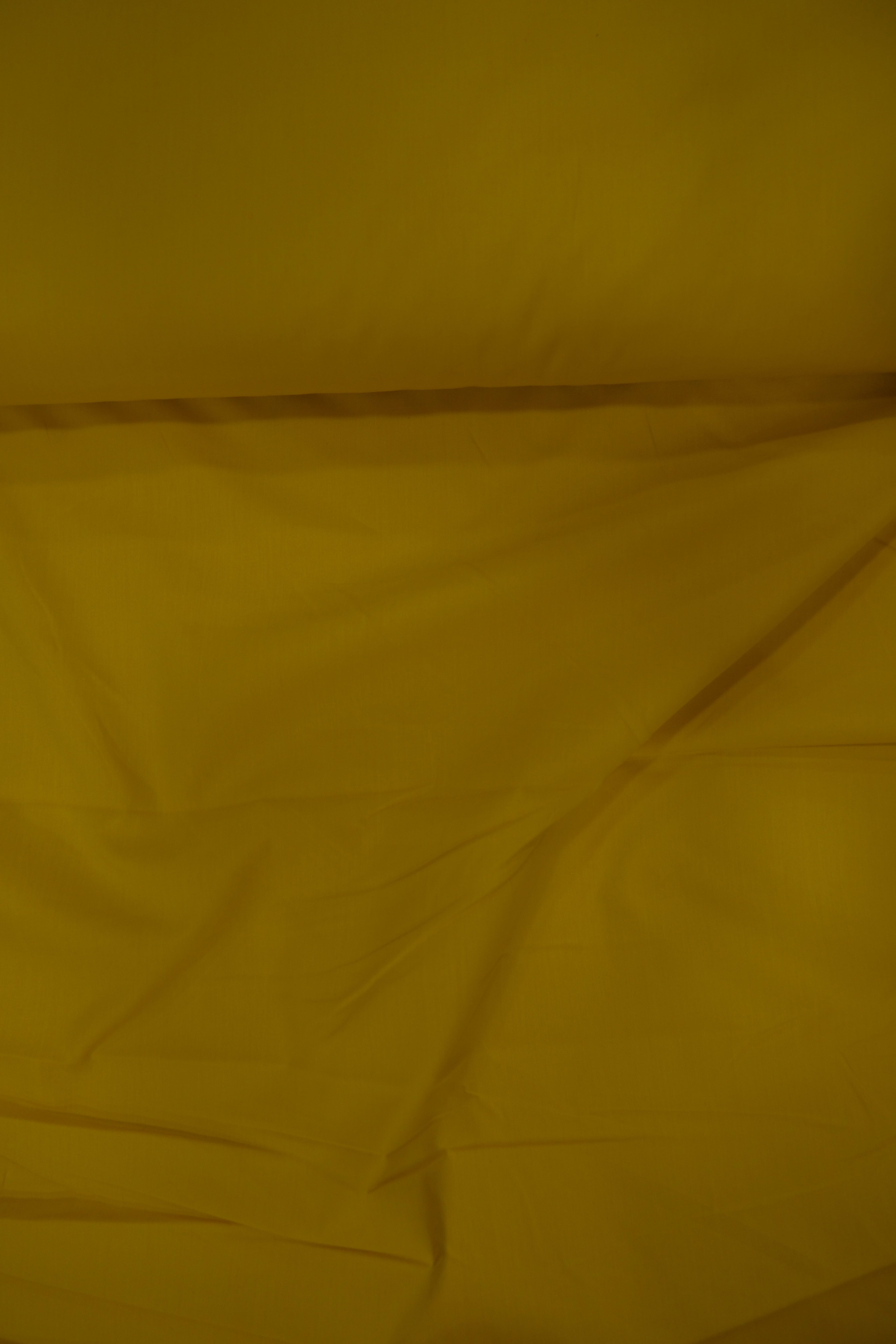 SARI 2