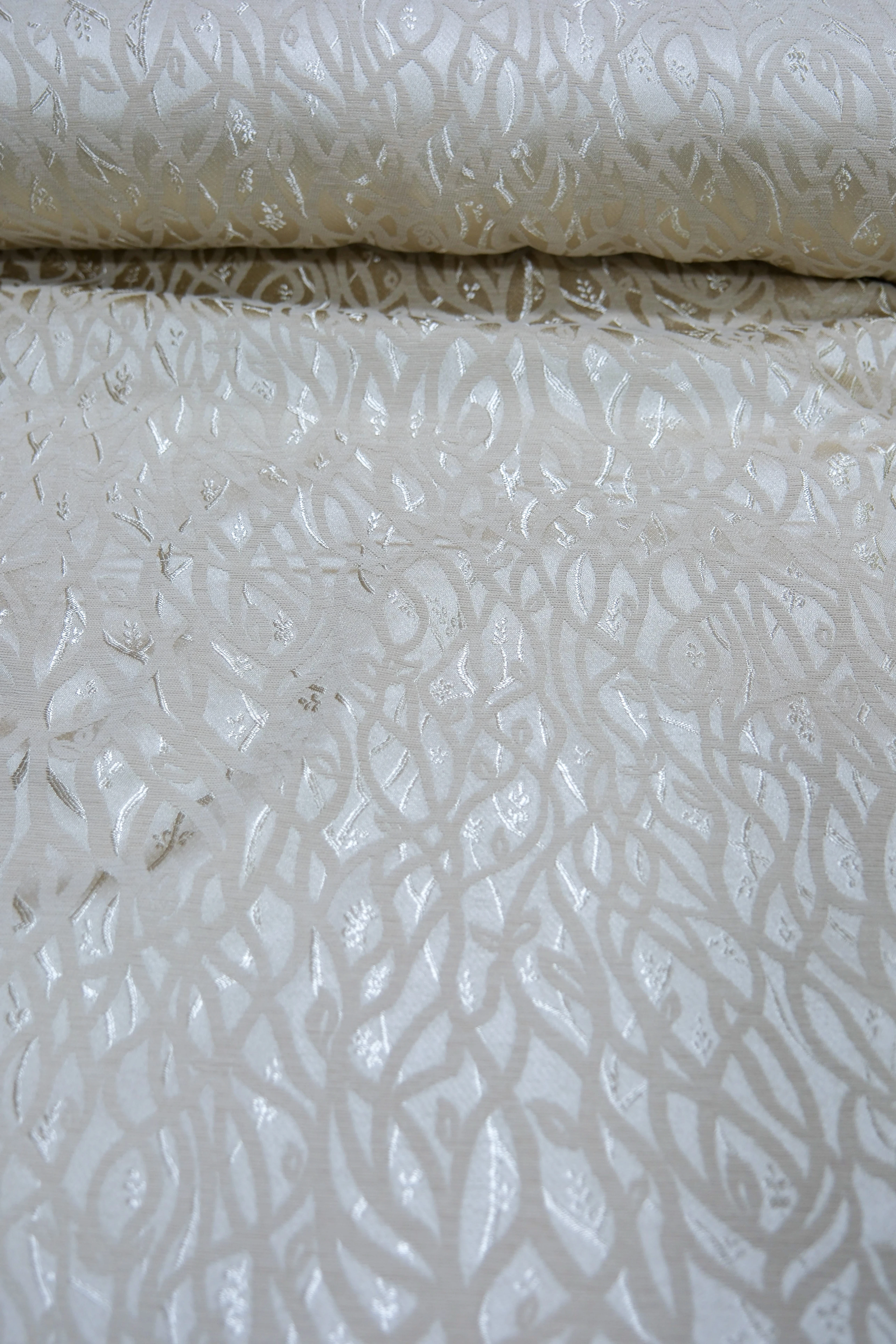 KAPİÇİNO SARMAŞIK 2