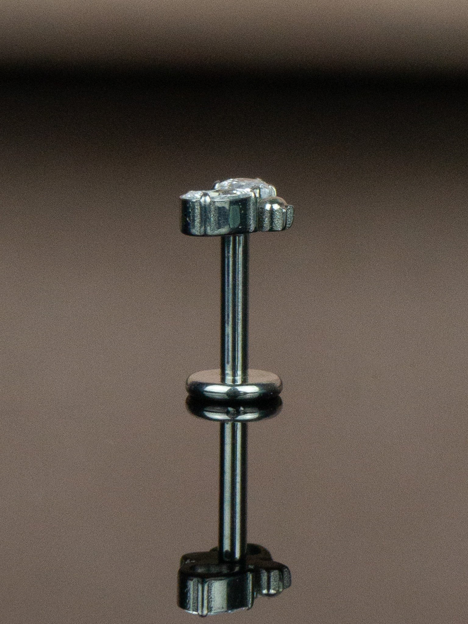 Titanyum Arı Düz Labret Tragus Piercing