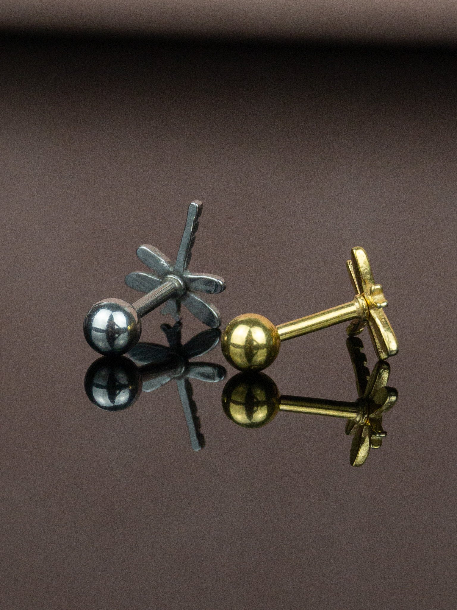 Taşsız Yusufçuk Toplu Helix Tragus Piercing