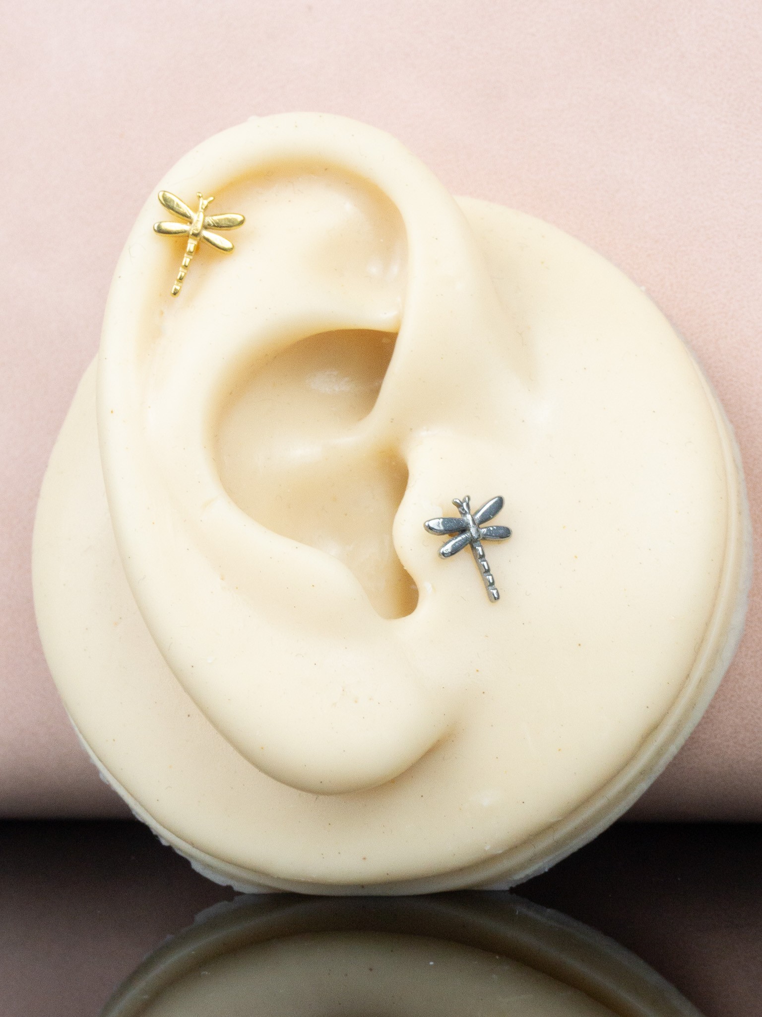 Taşsız Yusufçuk Toplu Helix Tragus Piercing