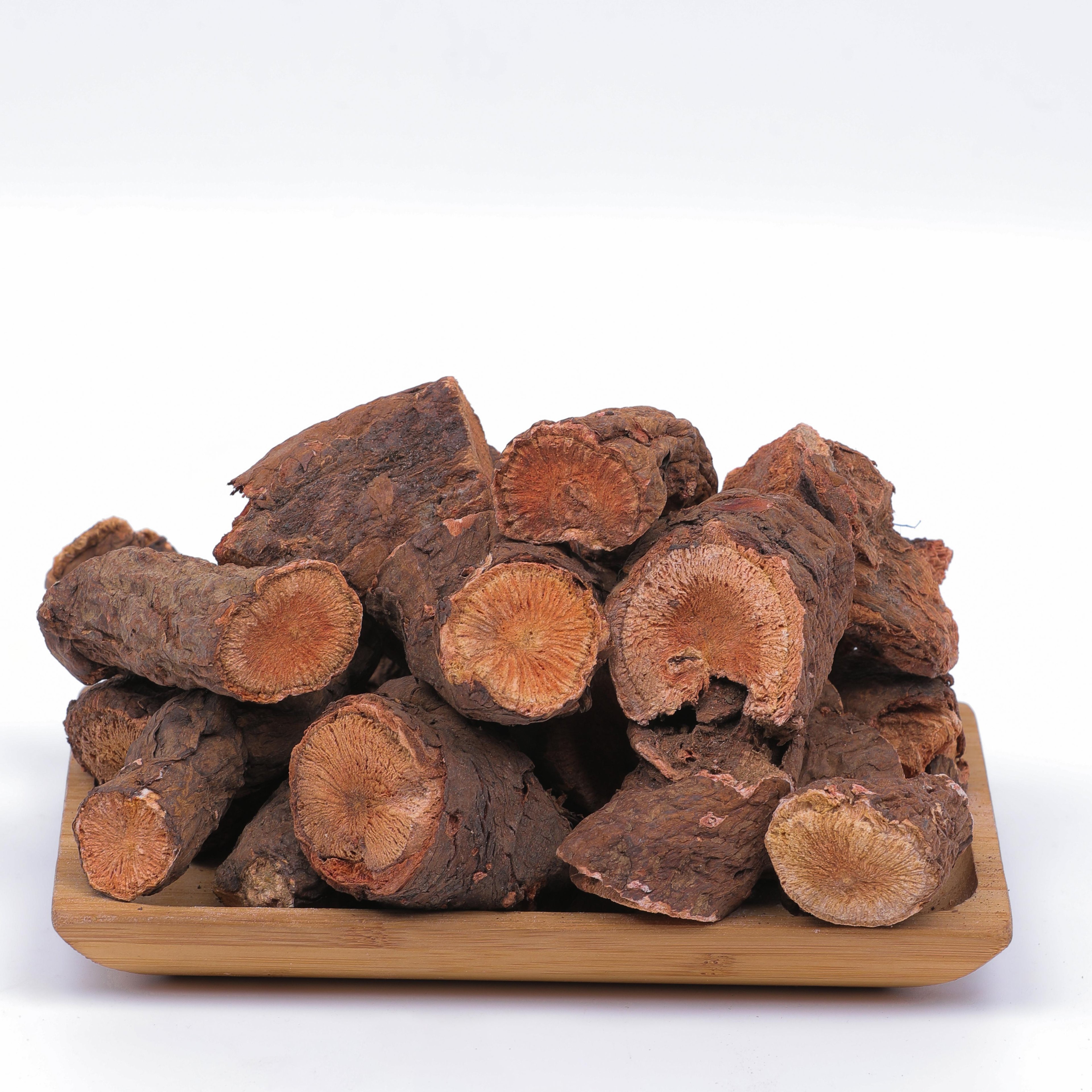 Uçkun (Işkın) Kökü – Şifanın Köklerine Yolculuk