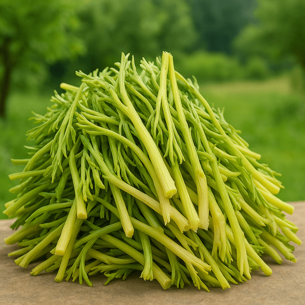 Çağ Otu – Çakşır Otu (3 Kg) – Doğadan Gelen Güç, Geleneksel Lezzetle Buluşuyor