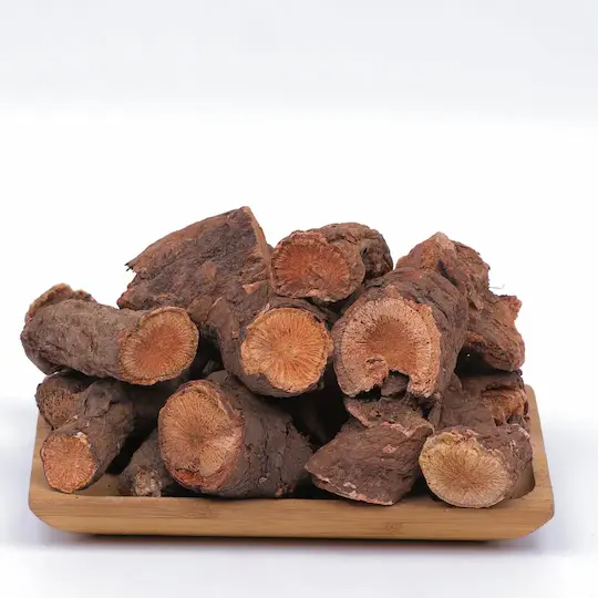 Uçkun (Işkın) Kökü – Şifanın Köklerine Yolculuk