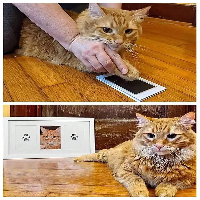 Patica™ Pati İzi Fotoğraf Baskı Seti