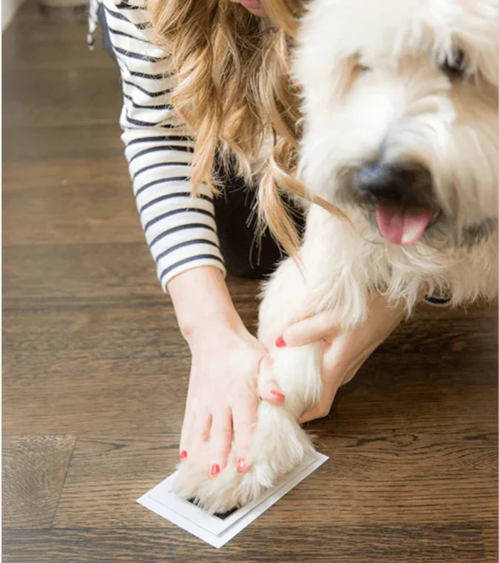 Patica™ Pati İzi Fotoğraf Baskı Seti