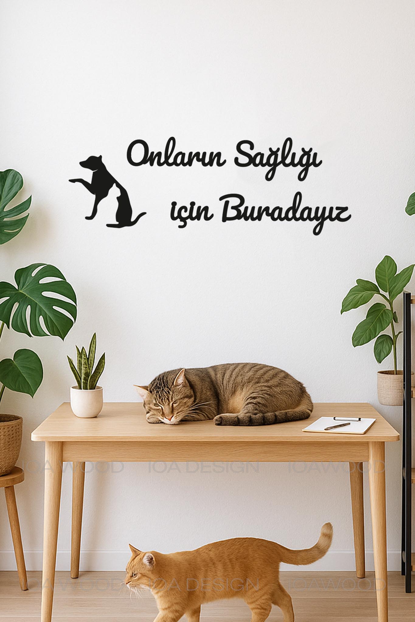 Onların Sağlığı için Buradayız - Ahşap Dekoratif Duvar Yazısı - Veteriner Ofis Dekoru Dekorasyon