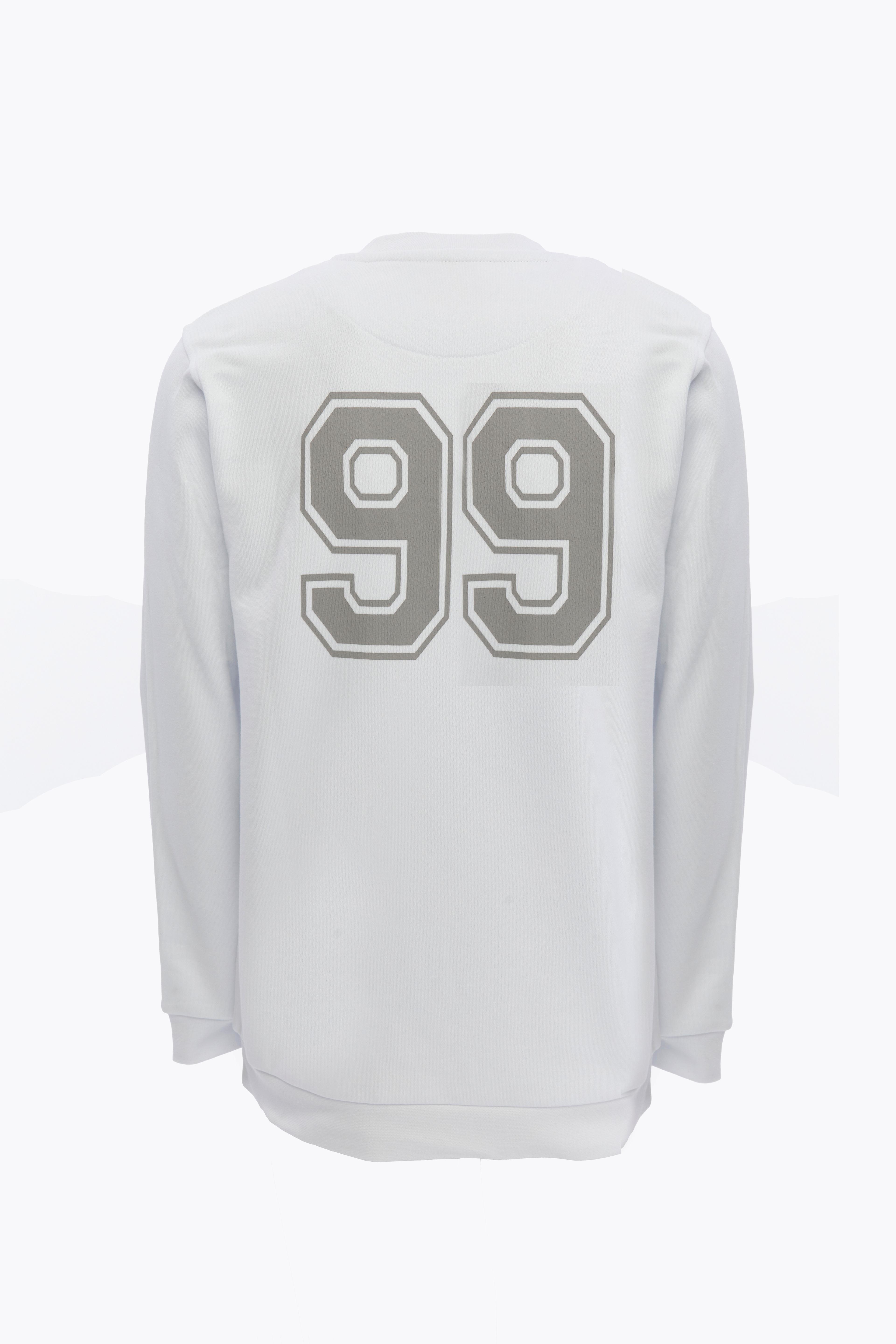 AKA COLLEGE SWEATSHIRT