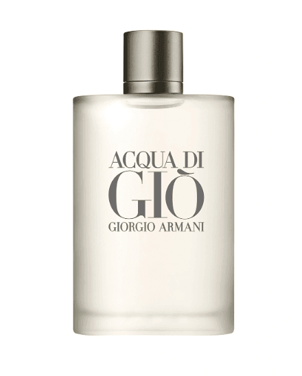 Armani - Acqua Di Gio 100 ML