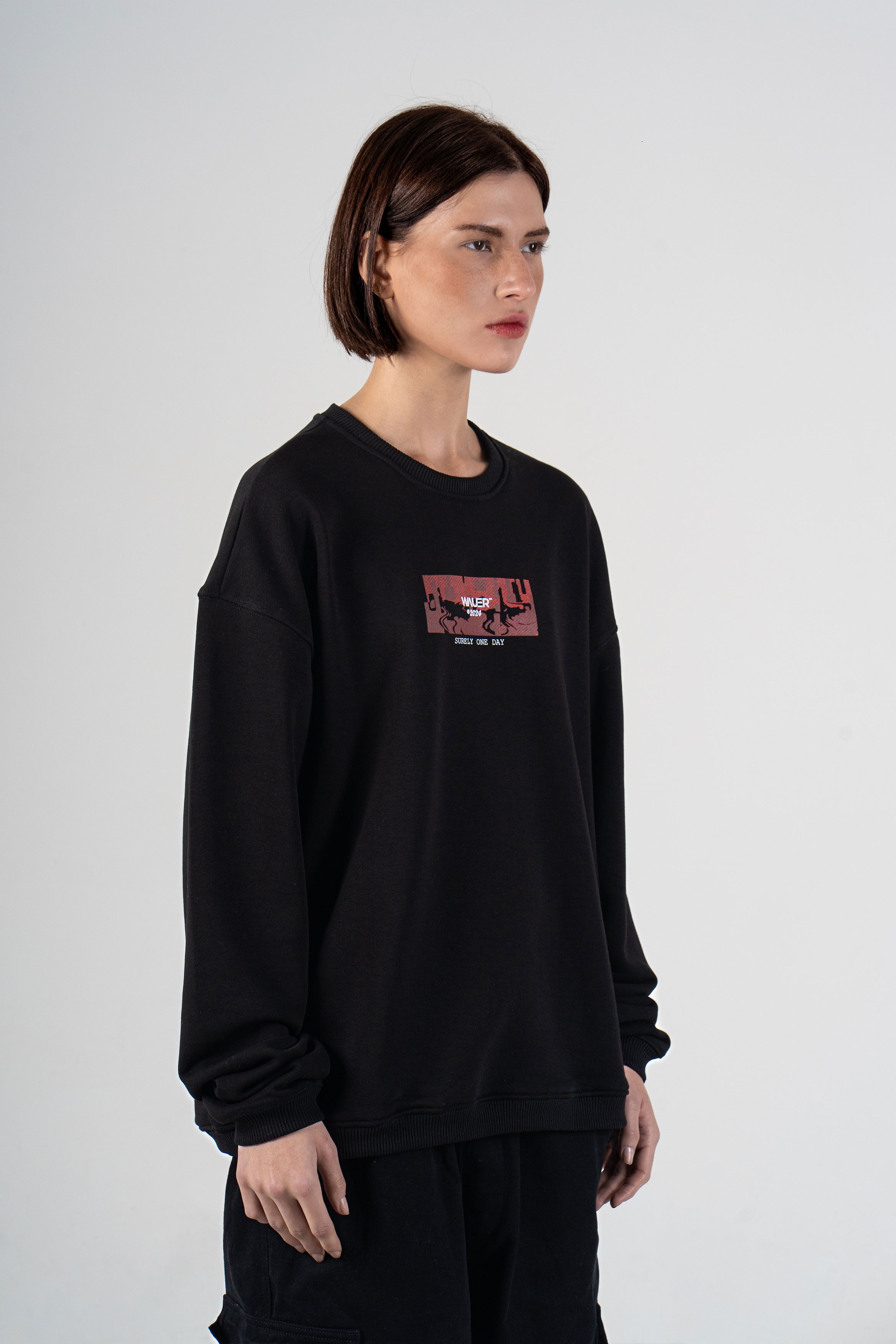 OVERSIZE SWEATSHIRT 102