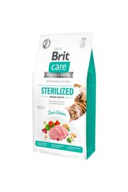 Brit