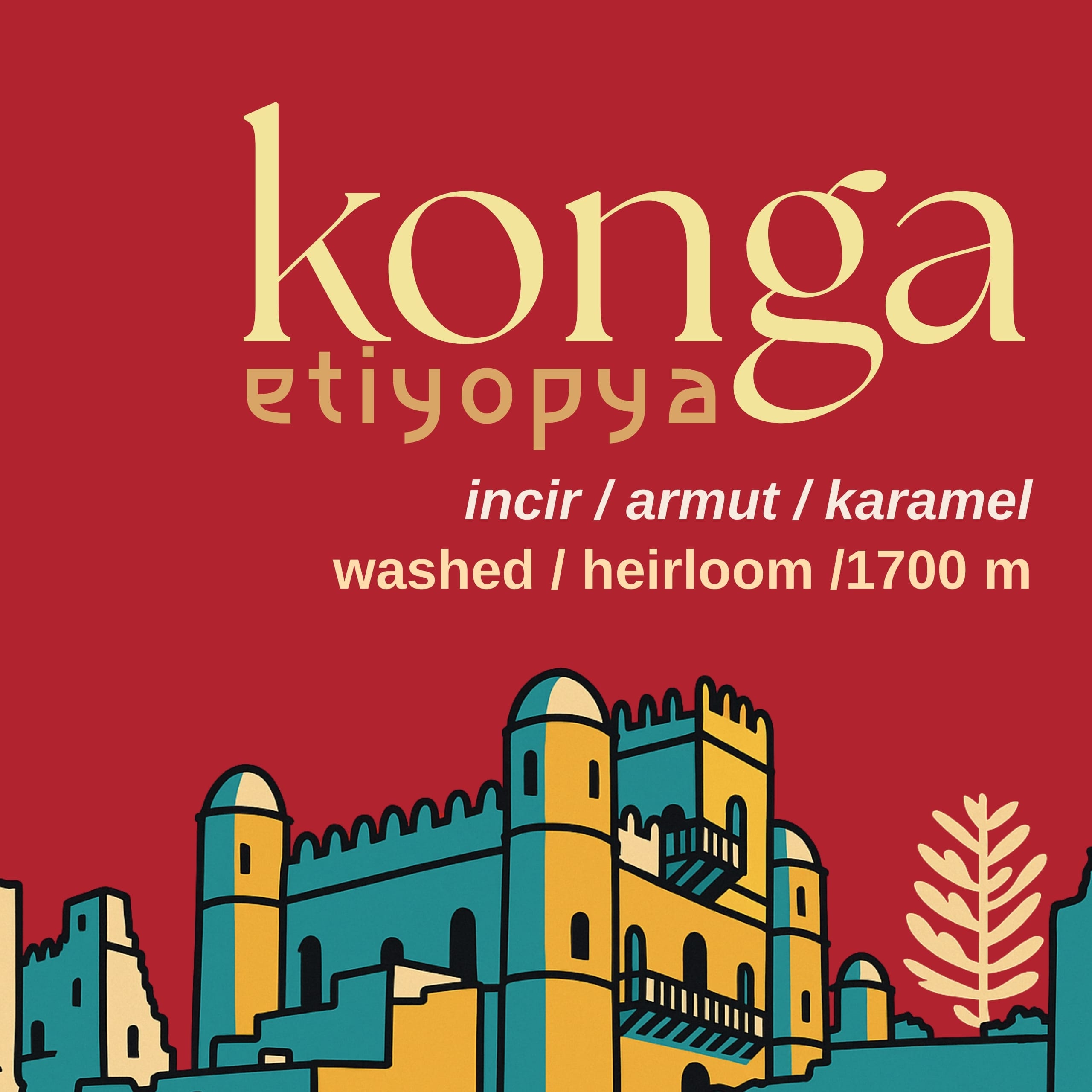 KONGA